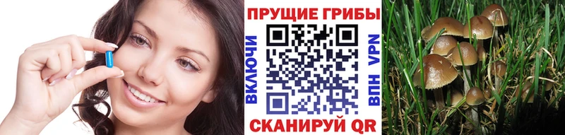 Галлюциногенные грибы мухоморы  Черемхово 