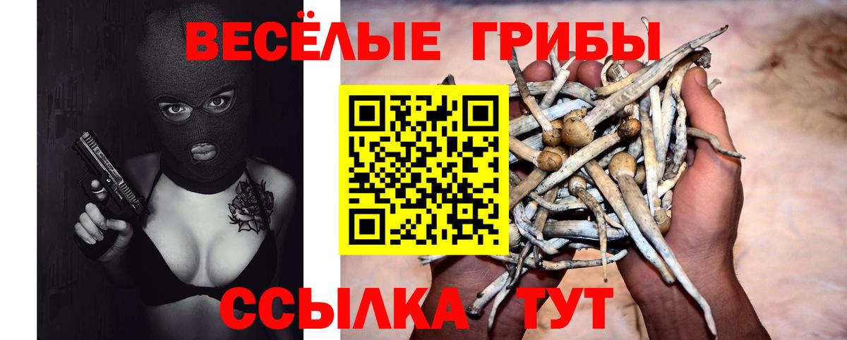 Галлюциногенные грибы Psilocybe  Вход с VPN  Черемхово 