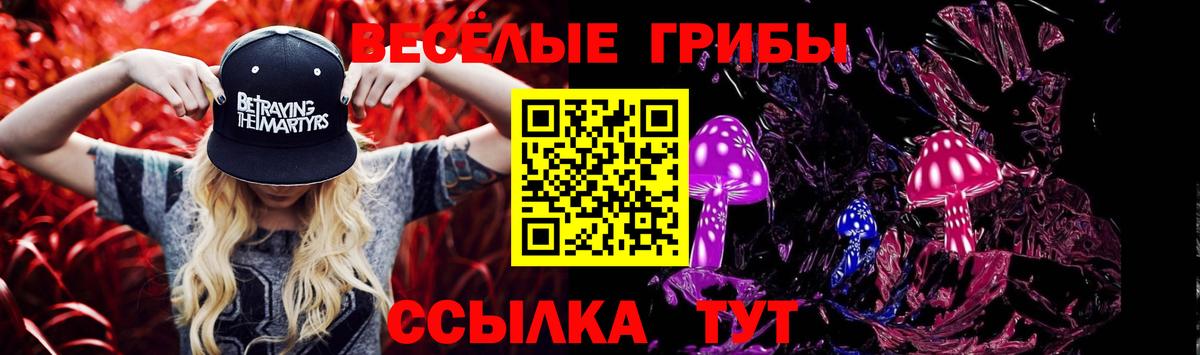 Галлюциногенные грибы мицелий Черемхово